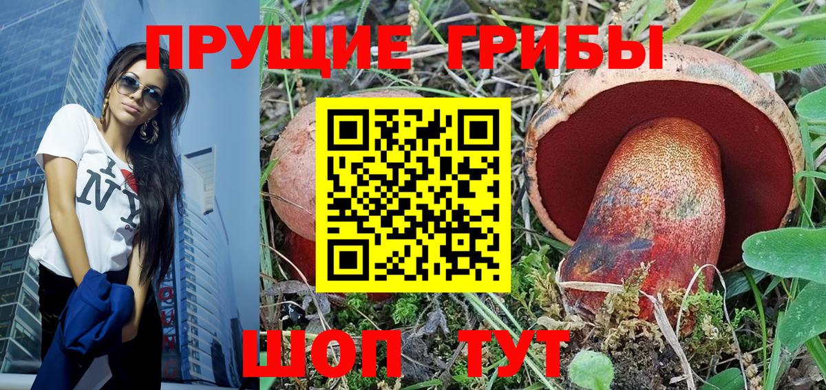 Галлюциногенные грибы Cubensis Таганрог